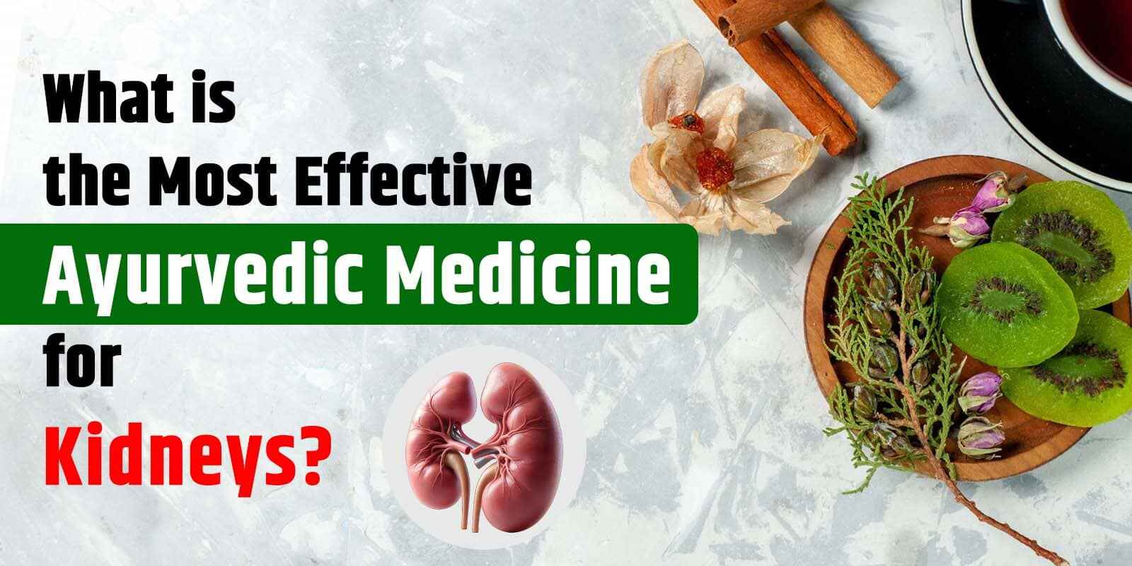 What is the Most Effective Ayurvedic Medicine for Kidneys?